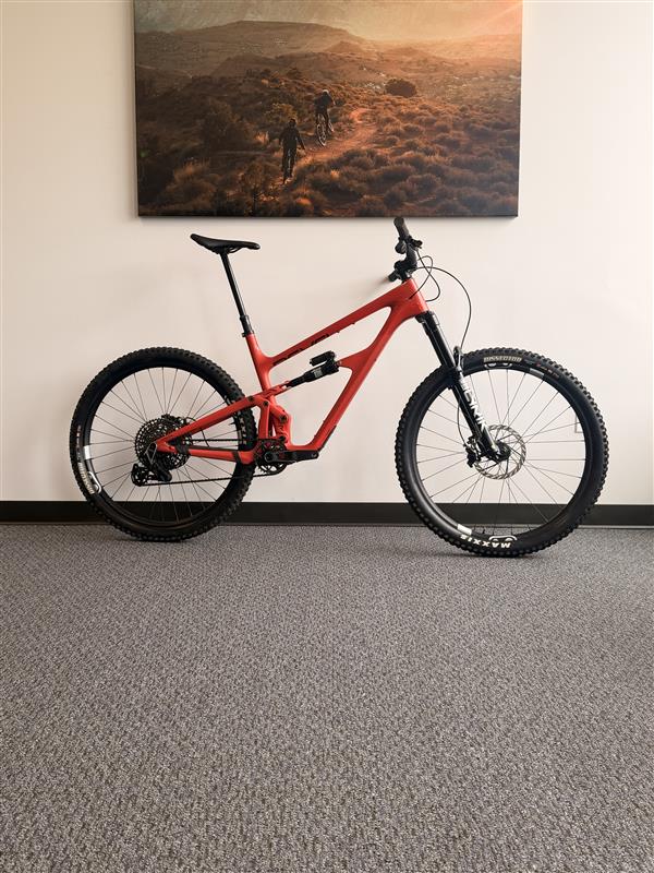 Rascal SRAM XO Transmission XL Pulp Friction - Demo Bike