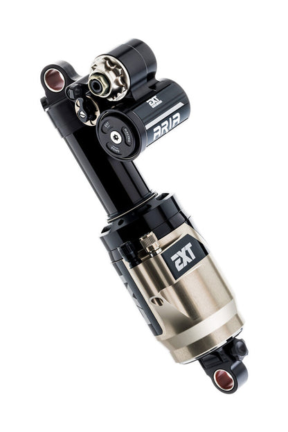 2026 MTB - Shock Options