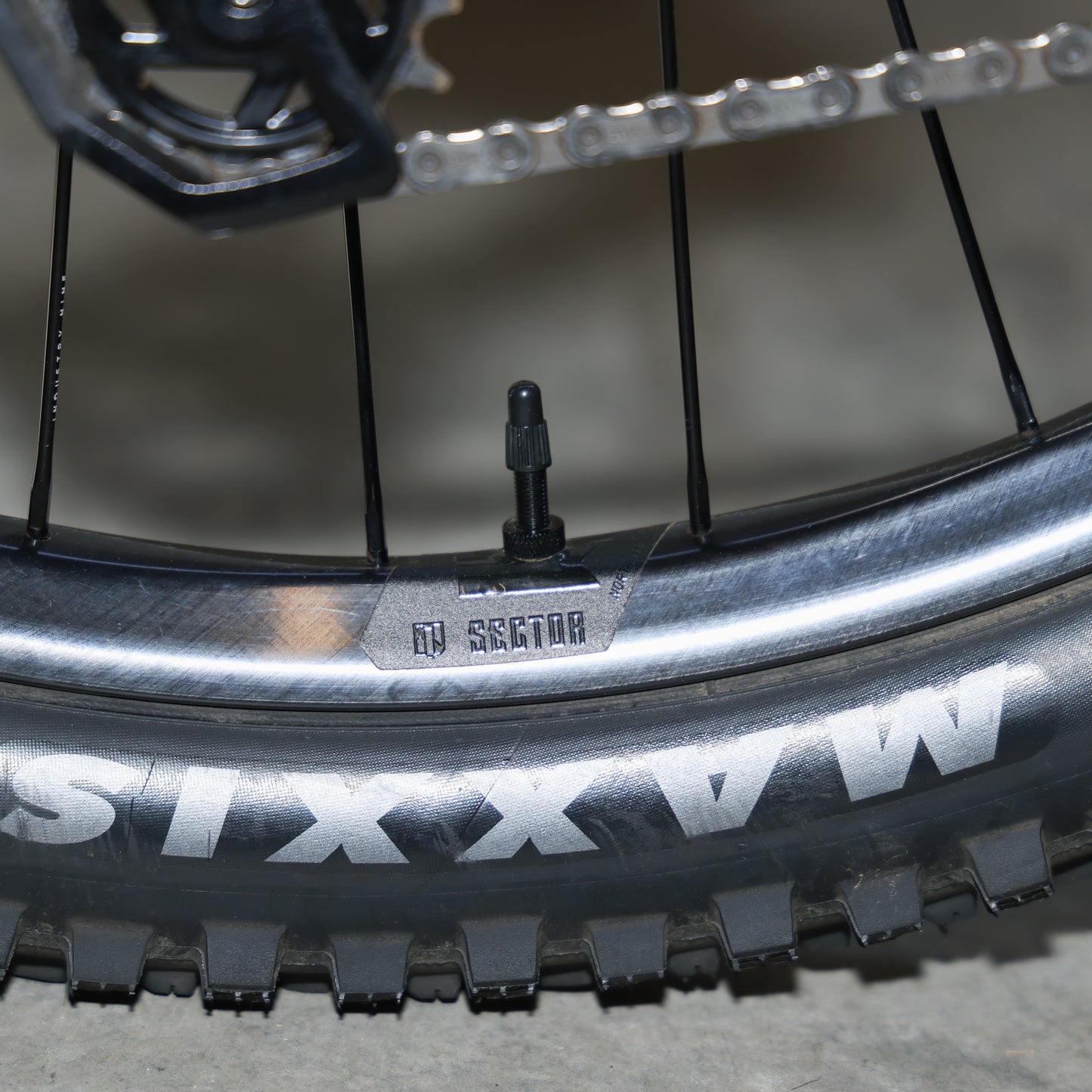 Rascal SRAM X0 Transmission Large Copperhead - Photo Shoot Bike
