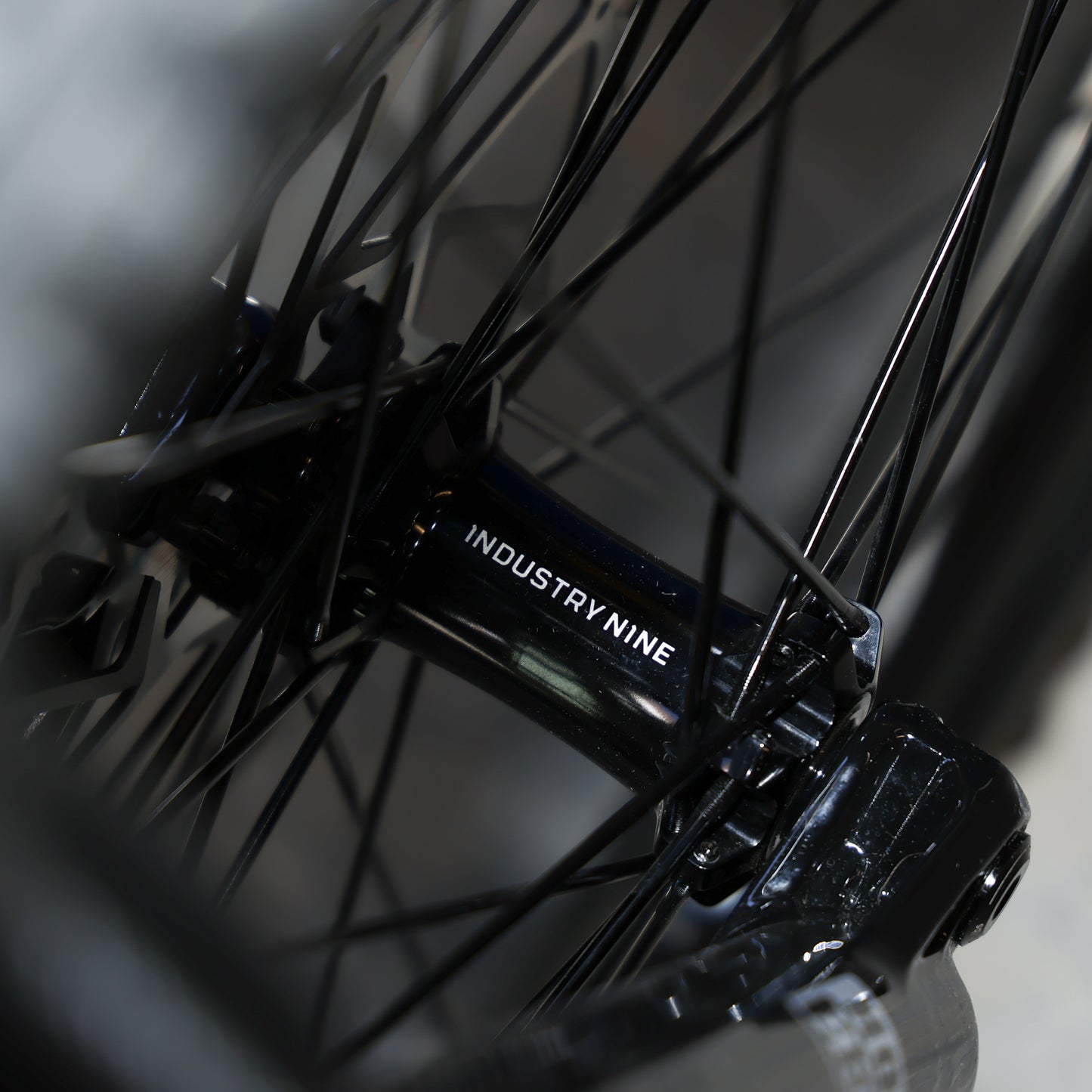 Rascal SRAM X0 Transmission Large Copperhead - Photo Shoot Bike