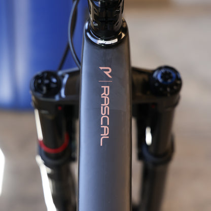 Rascal SRAM X0 Transmission Large Copperhead - Photo Shoot Bike