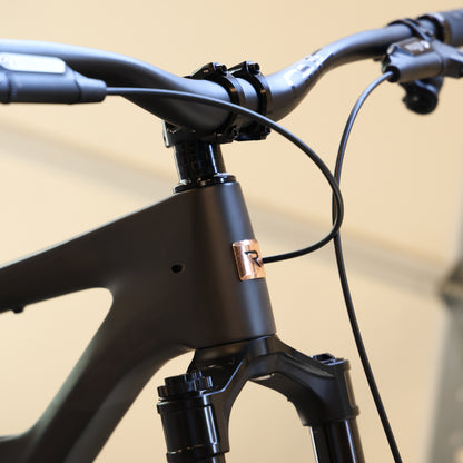 Rascal SRAM X0 Transmission Large Copperhead - Photo Shoot Bike