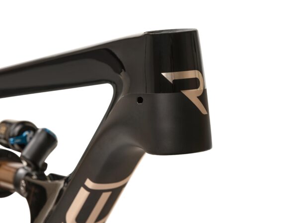 Revel Rail29 Frame