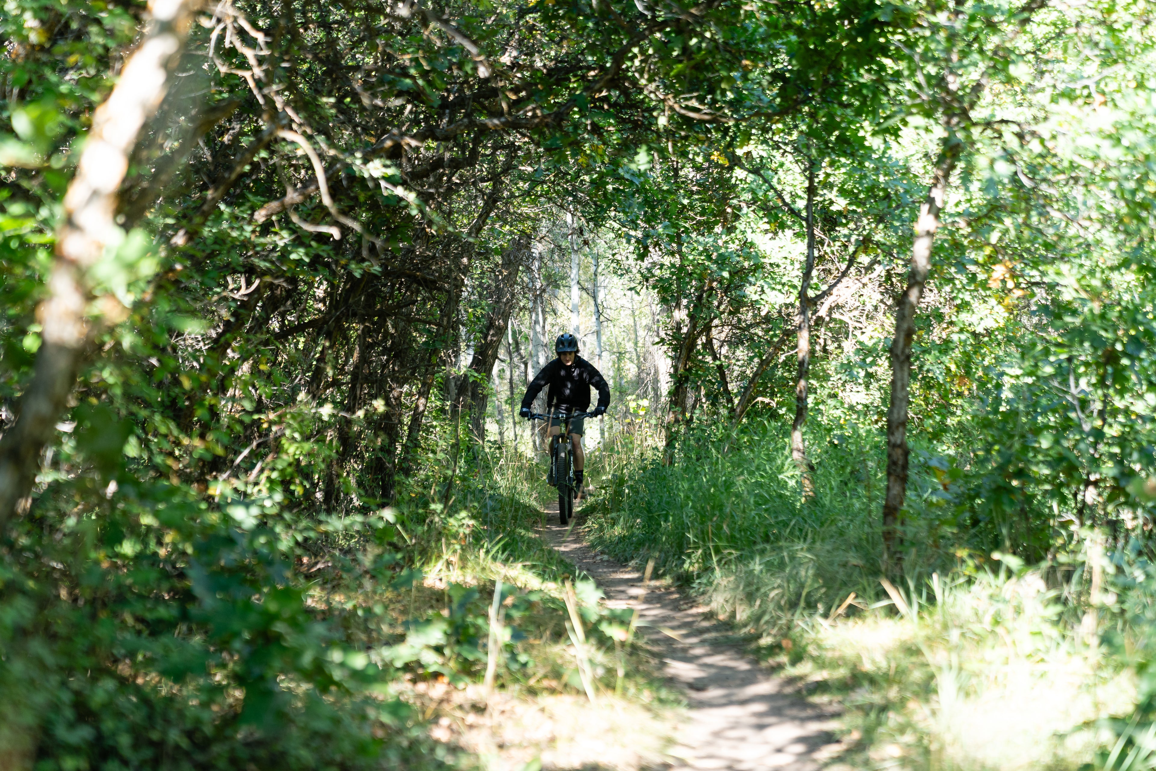 Rascal-Riding-PricklyPear-JonnyDavie-PrinceCreek-9.24-1.jpg__PID:1742b21b-8338-4964-ad31-148947324ea8