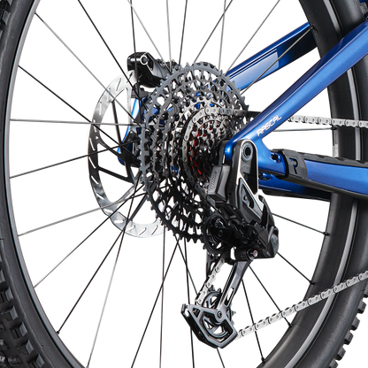 Rascal SRAM XX Transmission Kit
