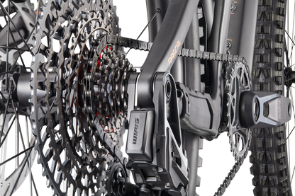 Rascal SRAM X0 Transmission Kit