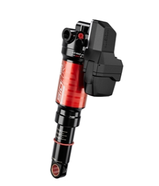 2026 - RANGER - Shock Options