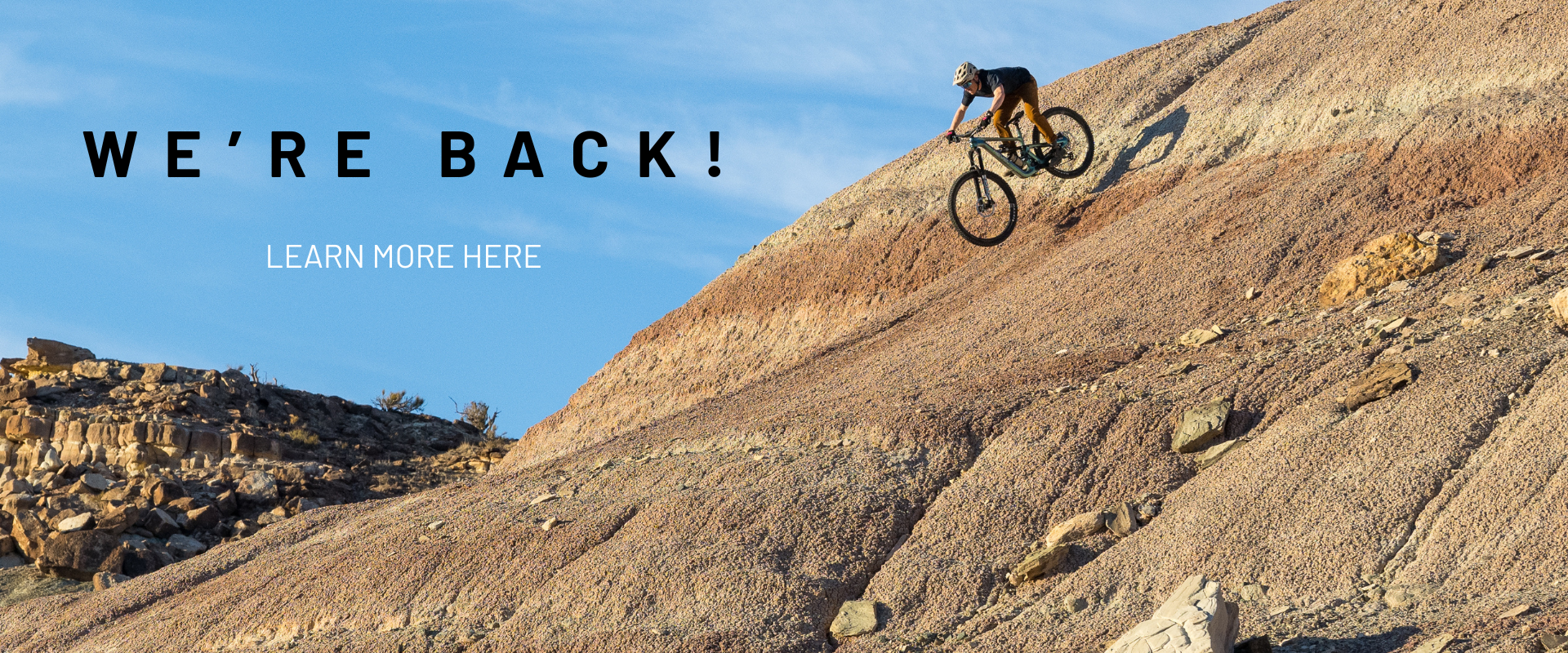 REvel is back!